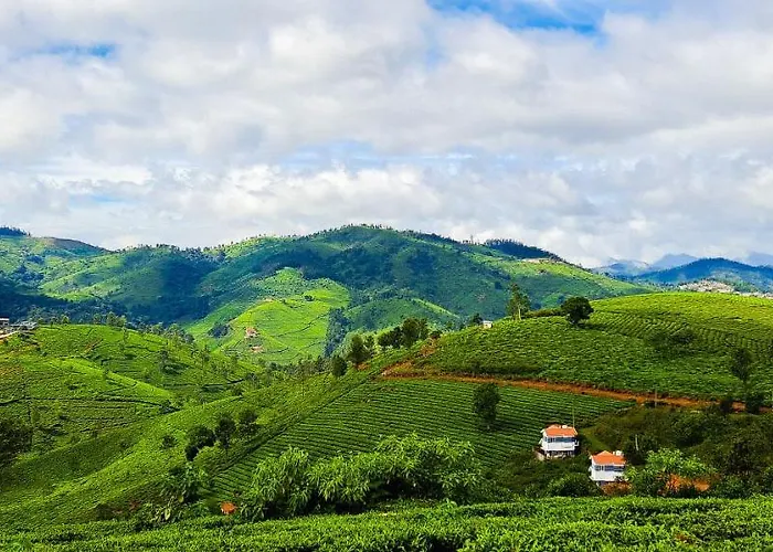 Ghar - Homestay, Where Family Lives Together