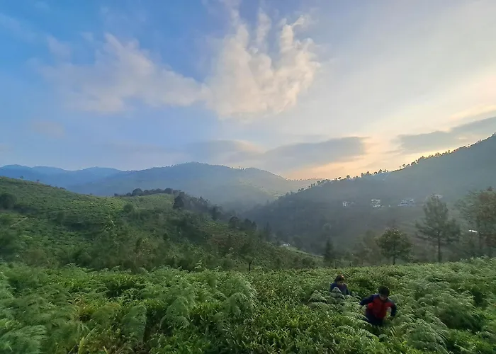Ghar - Homestay, Where Family Lives Together