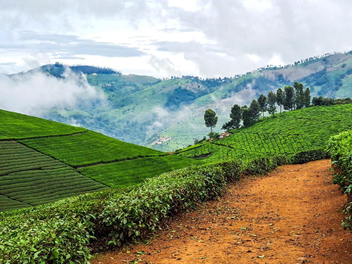 Ghar - Homestay, Where Family Lives Together Homestay