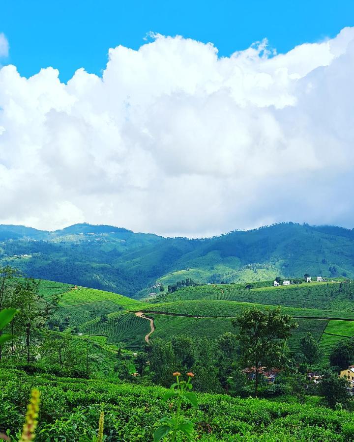 Ghar - Homestay, Where Family Lives Together *