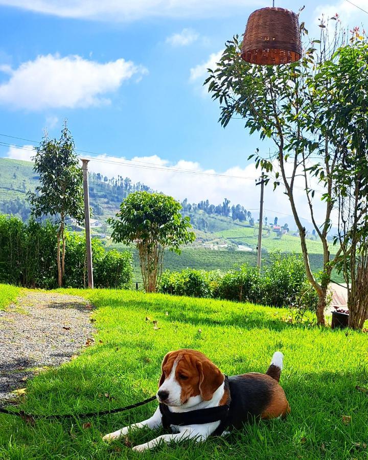 Ghar - Homestay, Where Family Lives Together Homestay *