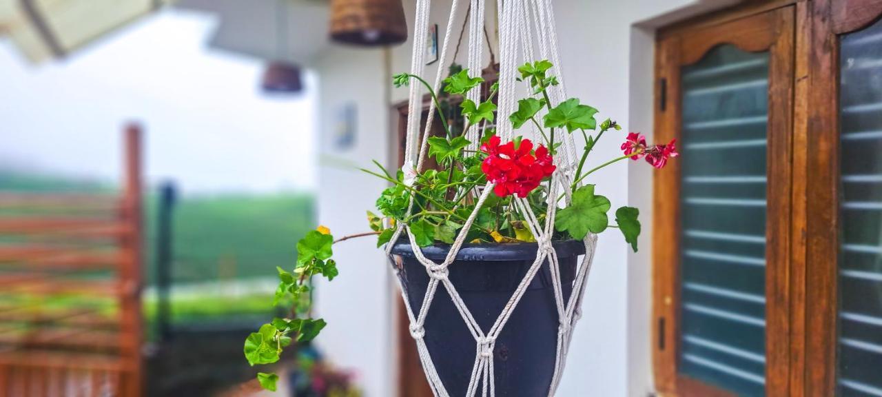 Ghar - Homestay, Where Family Lives Together