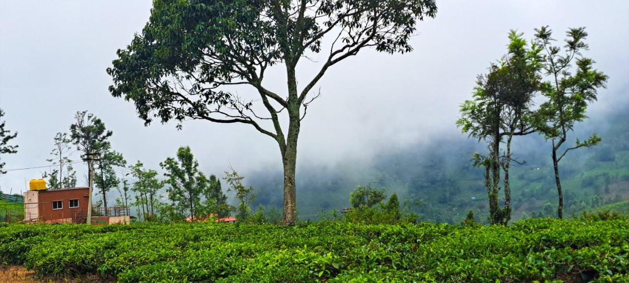 Ghar - Homestay, Where Family Lives Together Homestay