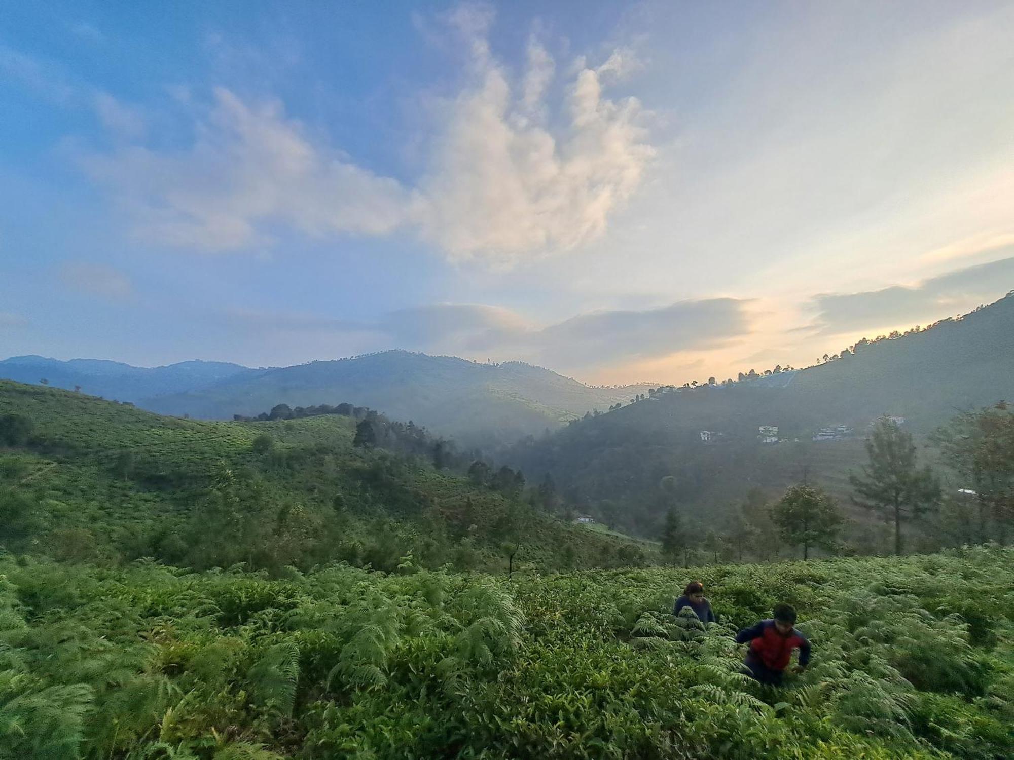Homestay Ghar - Homestay, Where Family Lives Together