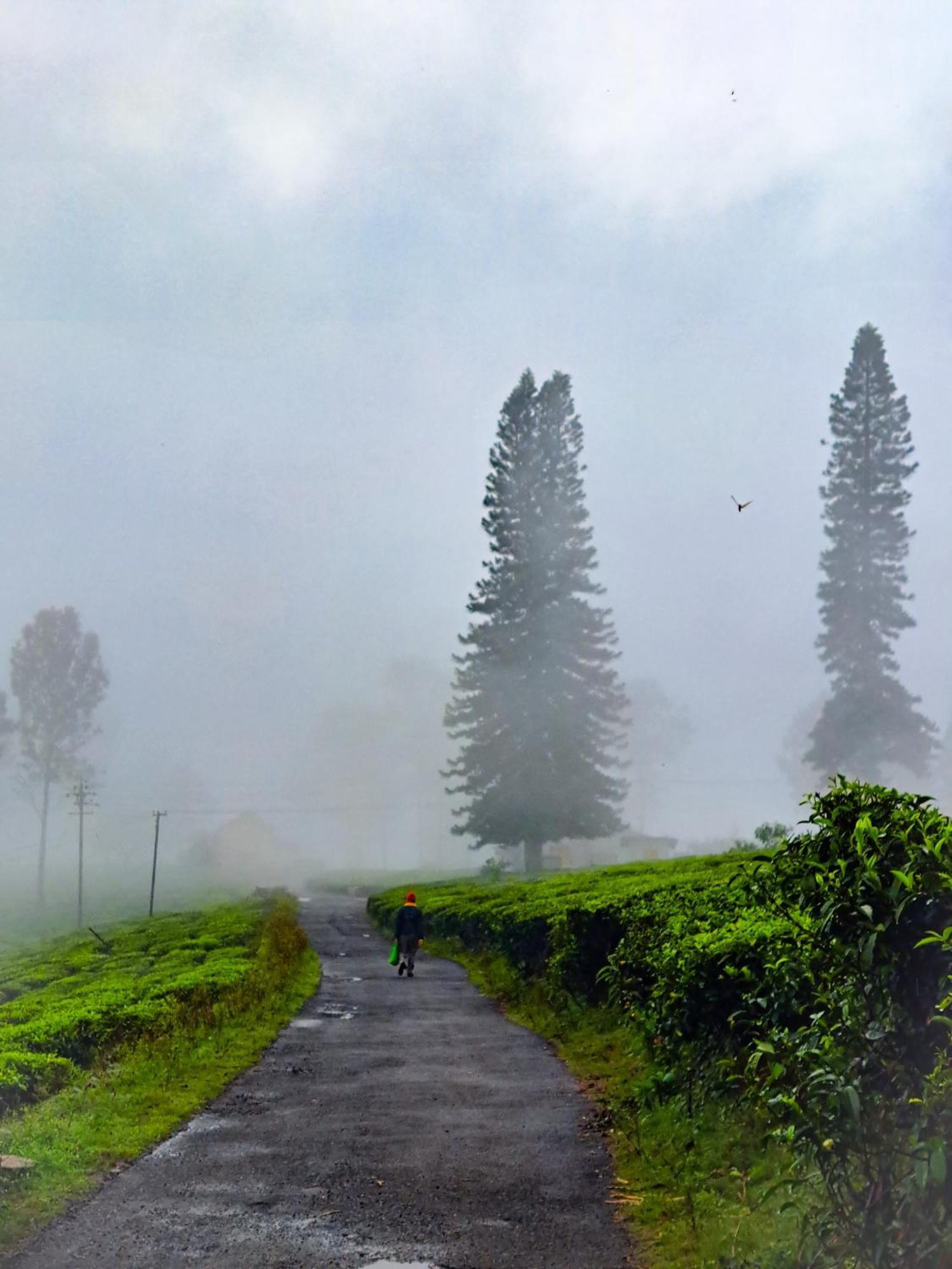 Ghar - Homestay, Where Family Lives Together Homestay *