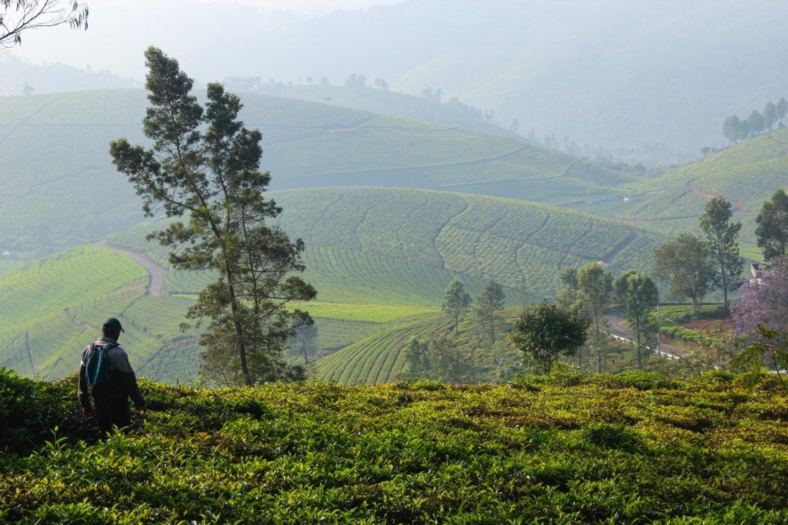 Ghar - Homestay, Where Family Lives Together Homestay