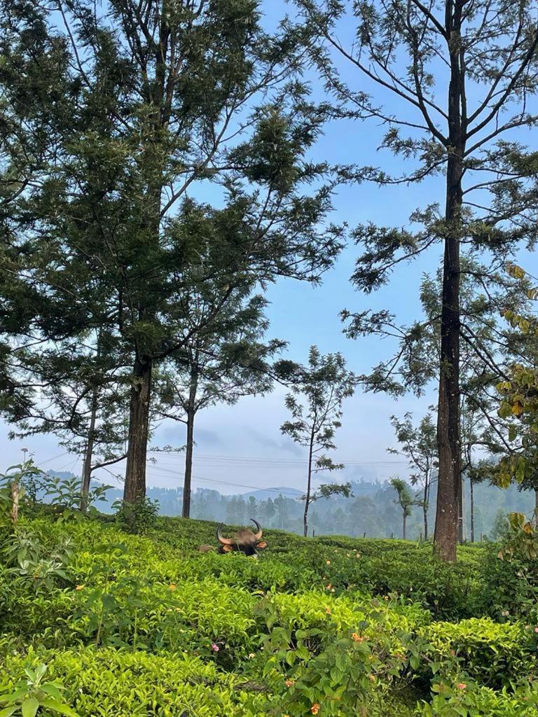 Ghar - Homestay, Where Family Lives Together Aravankadu