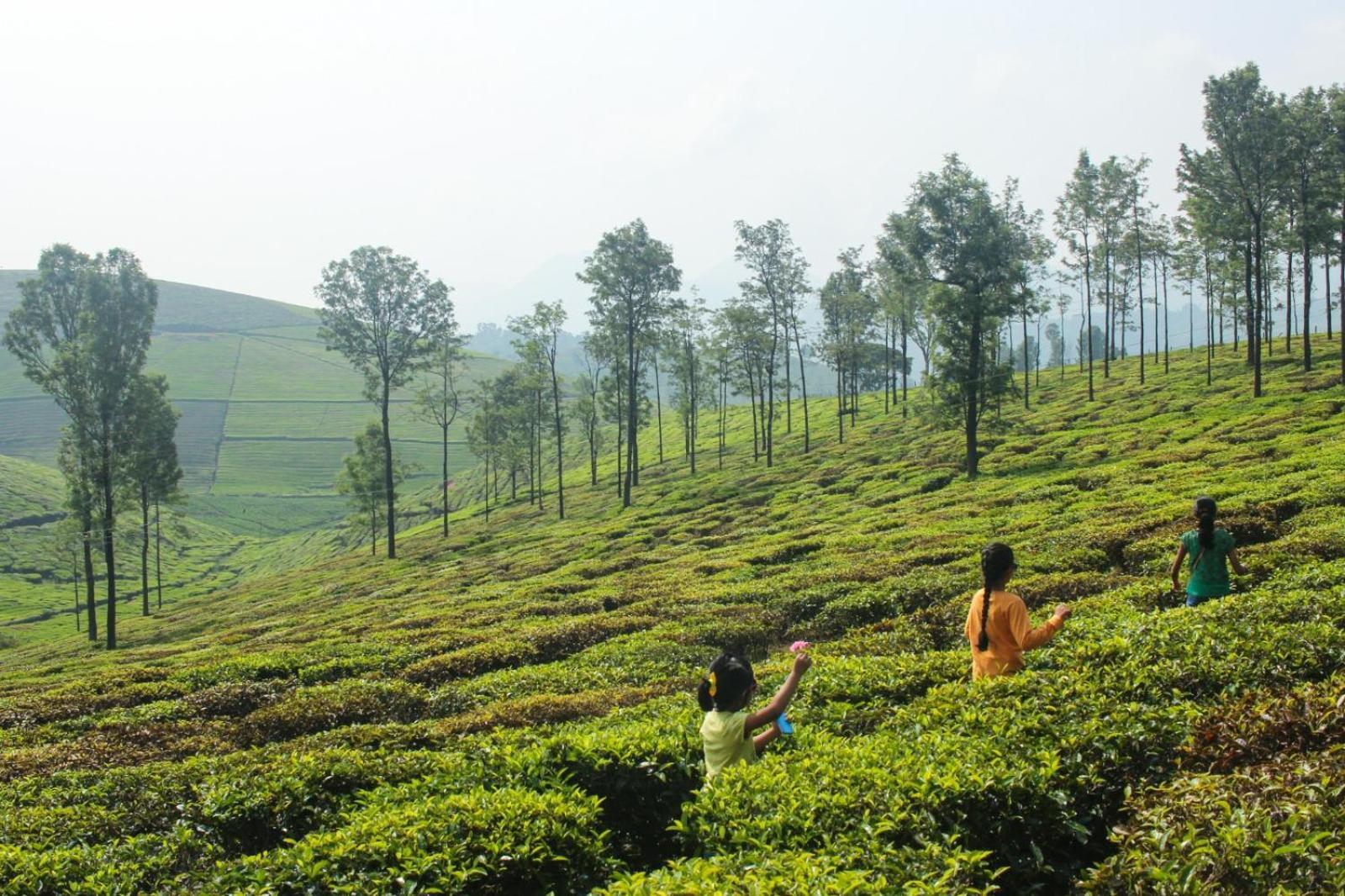 Ghar - Homestay, Where Family Lives Together
