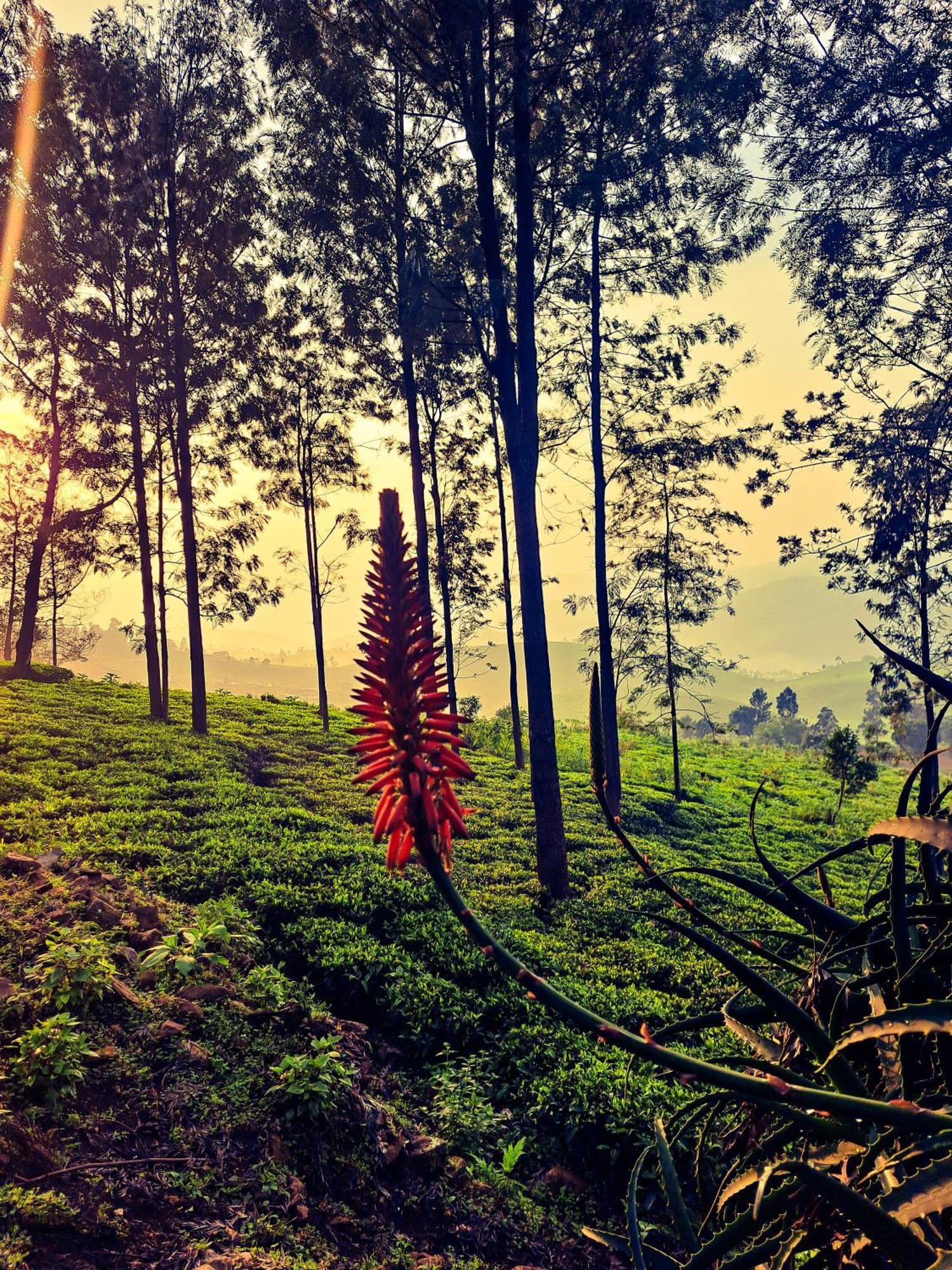 Ghar - Homestay, Where Family Lives Together Homestay *