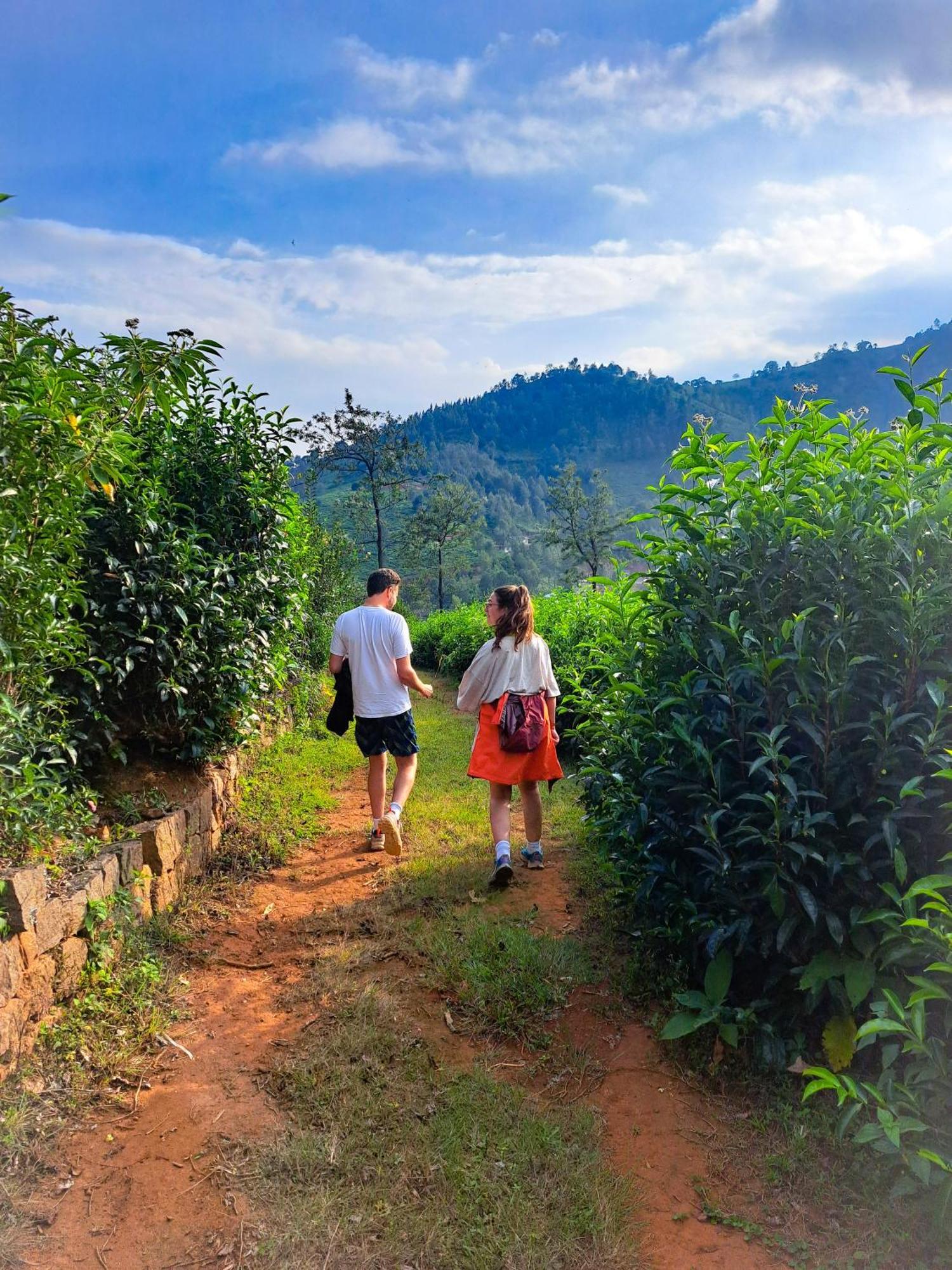 Homestay Ghar - Homestay, Where Family Lives Together